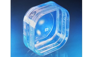 MgO:PPLN Crystals for SFG, 7.5x1x25mm